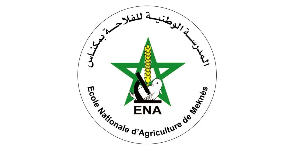 ENA LOGO