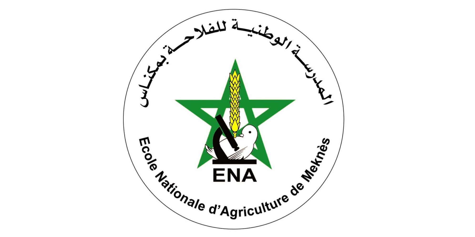 LOGO-ENA