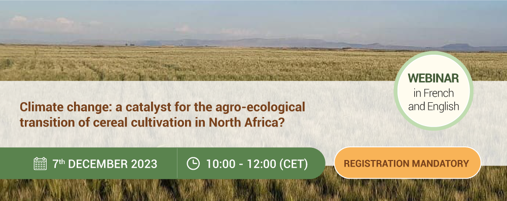 Webinar: Climate change: a catalyst for the agro-ecological transition of cereal cultivation in North Africa?