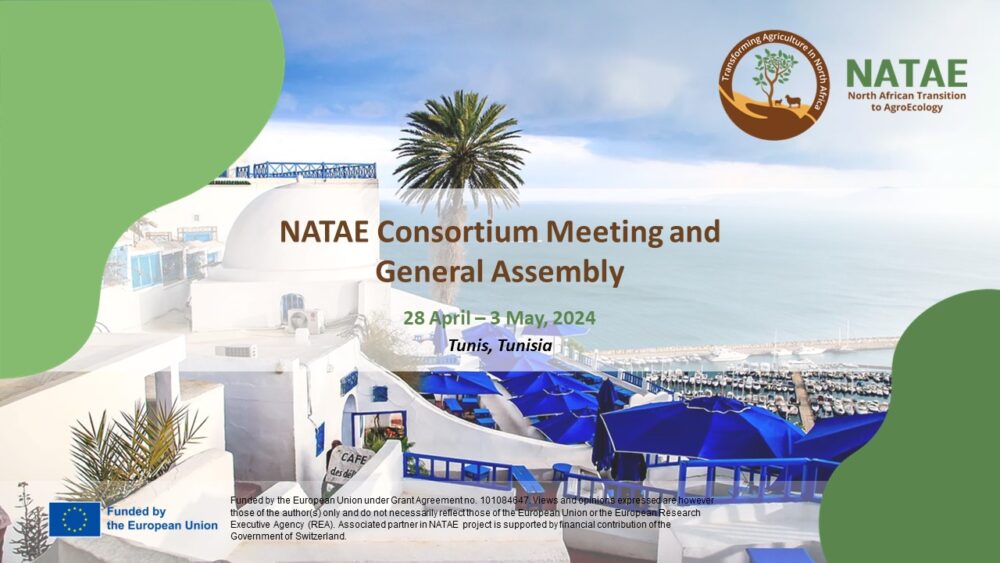 NATAE Consortium Meeting and General Assembly in Tunis