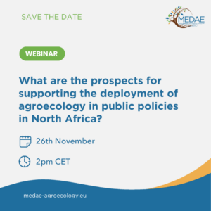 Webinar