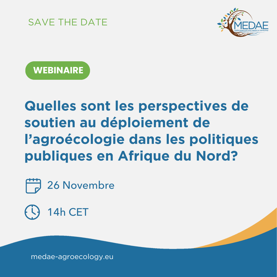 Webinar