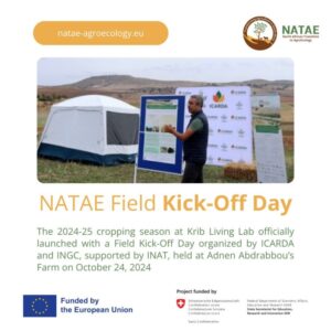 Natae Field kick-off day