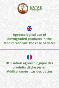 Agroecological use of downgraded products in the Mediterranean the case of dates