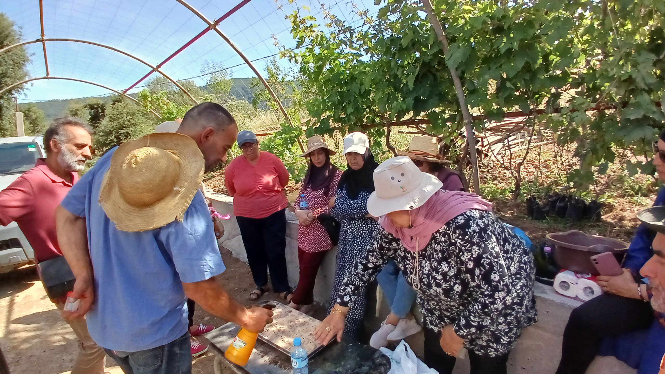 NATAE organizes training session on Farmer Seed Production and Preservation in Tizi-Ouzou